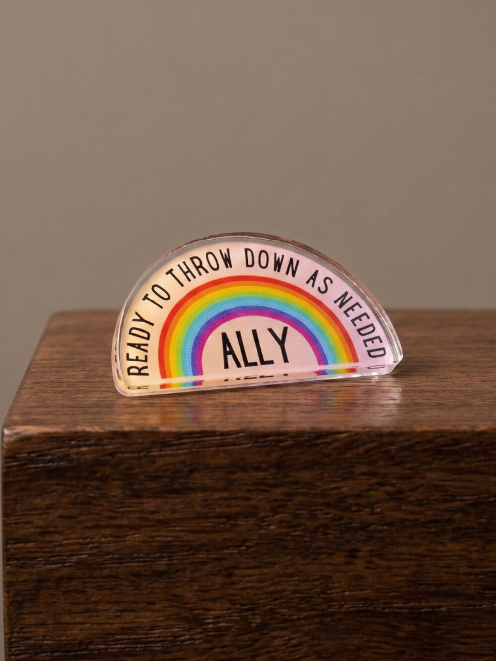 Pin Brooch "Ally" Ready to Throw Down LGBTQ Rainbow Acrylic Lapel Pin NWT